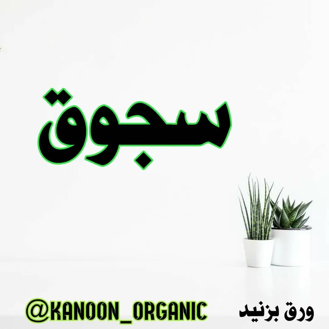 سجوق