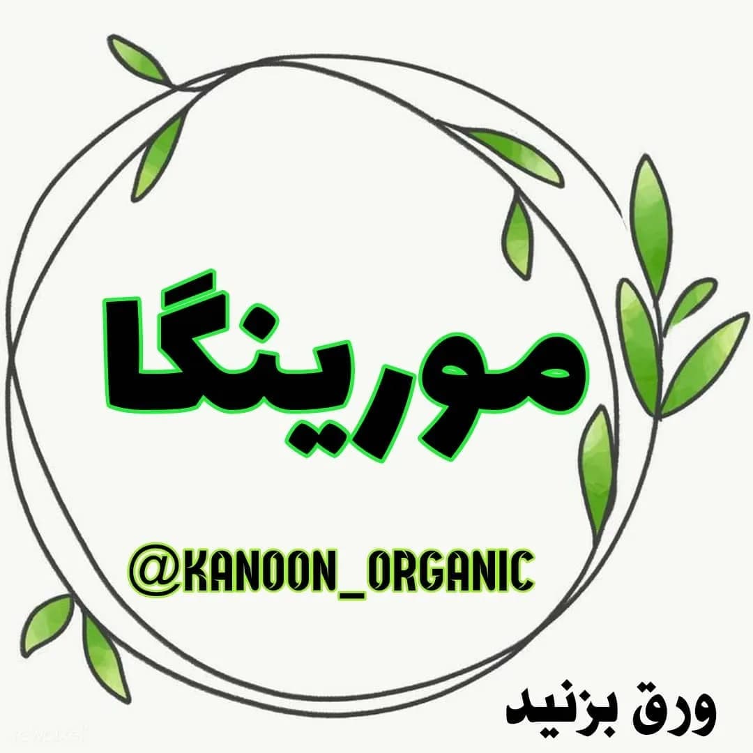 مورینگا