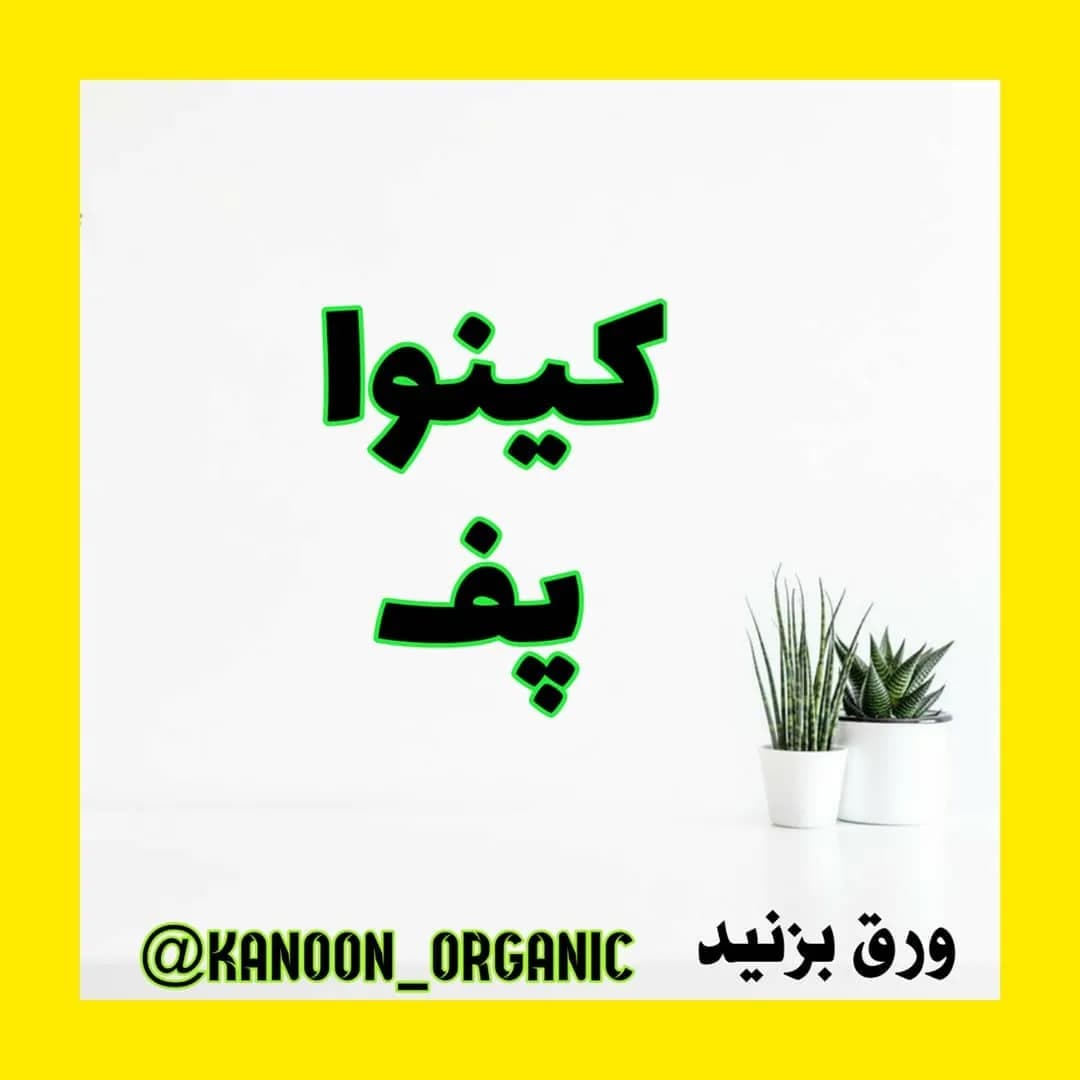 کینوآ پف ۱۲۰ گرمی پالیزار