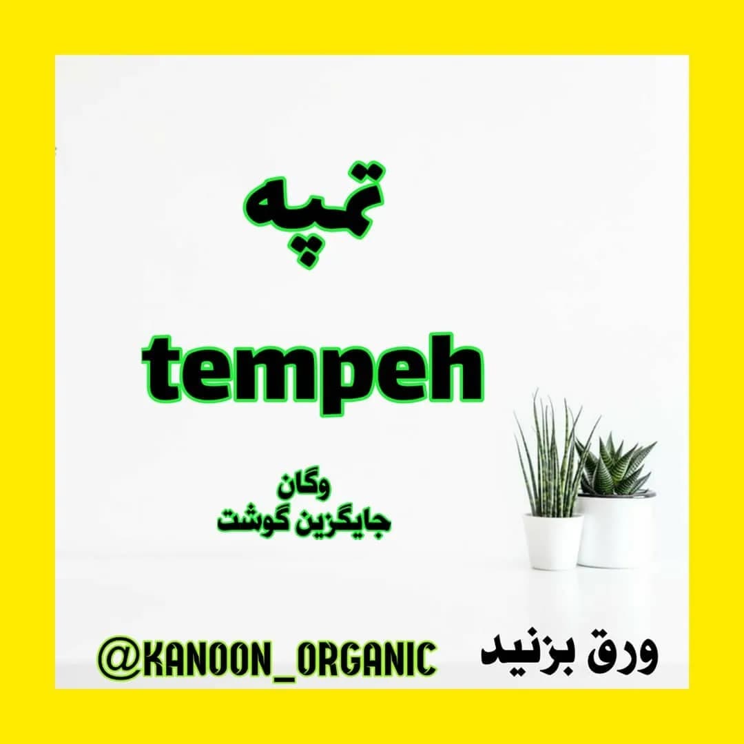 تمپه وگان جایگزین گوشت