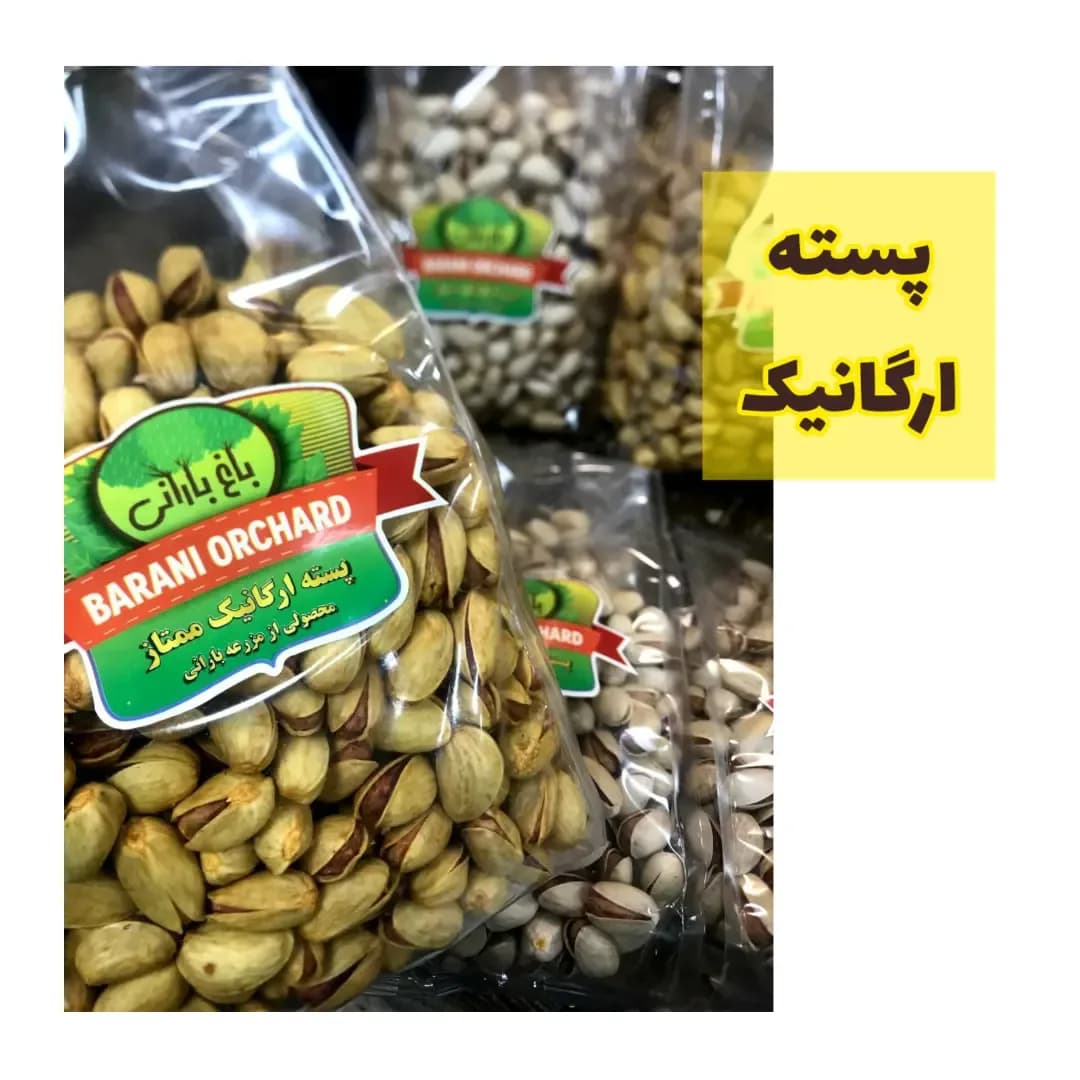 پسته ارگانیک باغ بارانی ۵۰۰ گرمی