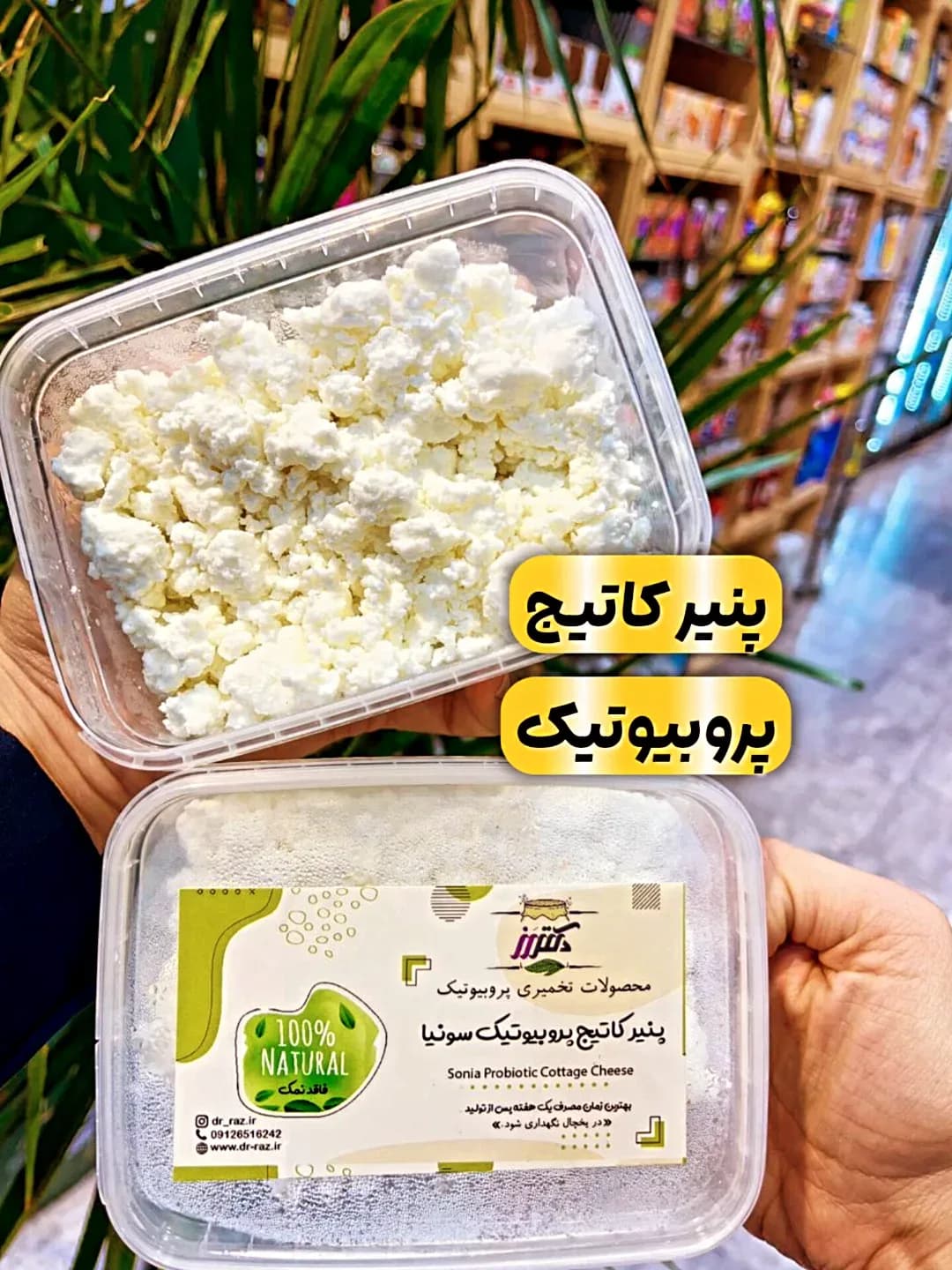 پنیر کاتیج پروبیوتیک ۳۰۰ گرمی دکترز، رنگ سفید و سبز، جنس پلاستیک، ظرف مستطیلی