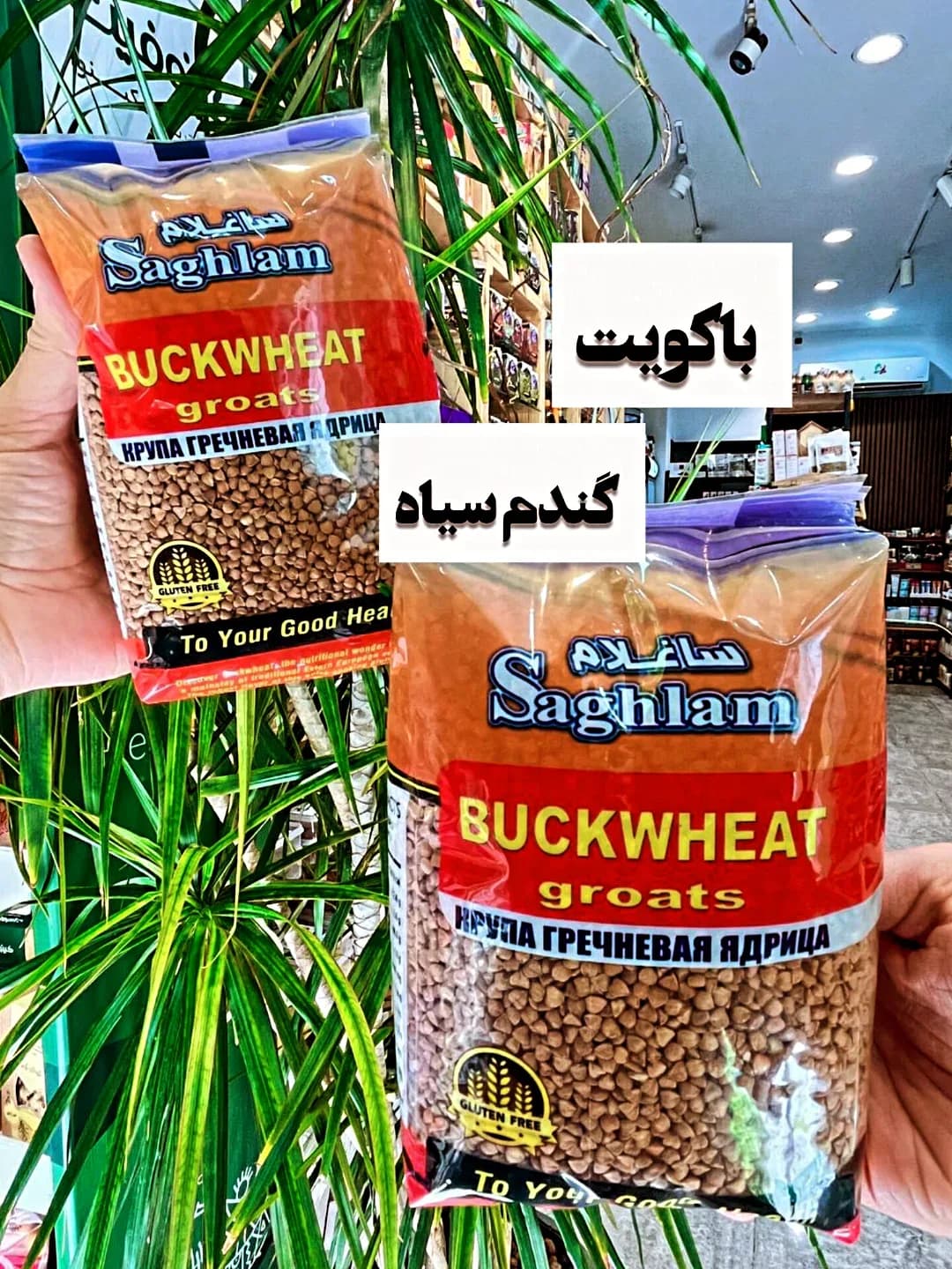 گندم سیاه باکویت ارگانیک ۸۰۰ گرم ساغلام، رنگ قرمز، قهوهای و آبی، جنس پلاستیک، بستهبندی پاکتی