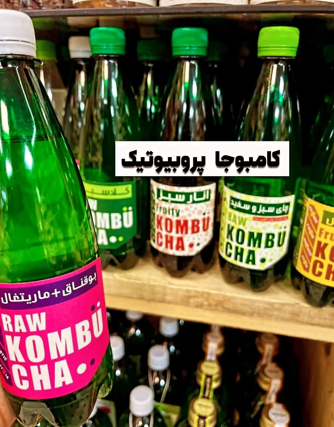 نوشیدنی کامبوچا پروبیوتیک ۵۰۰ سیسی تینوش