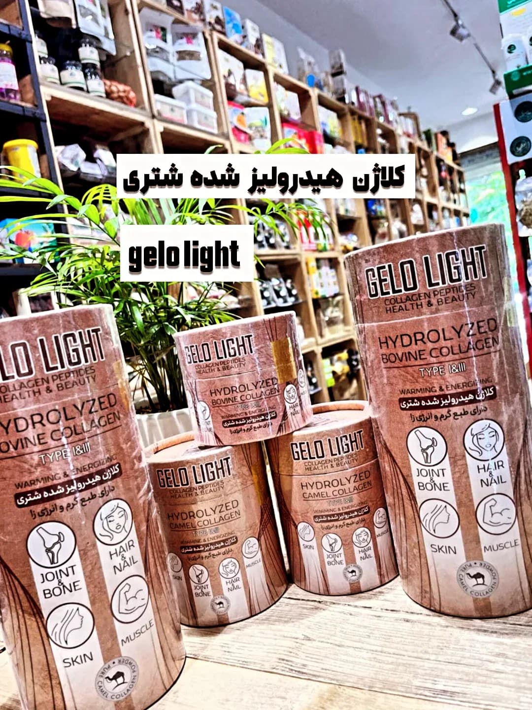 کلاژن شتری Gelo Light