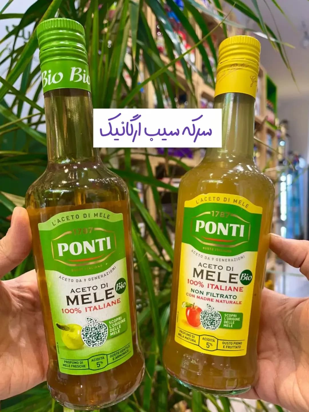 سرکه سیب ارگانیک ۵۰۰ میلیلیتر Ponti، رنگ سبز و زرد، جنس شیشه، بطری