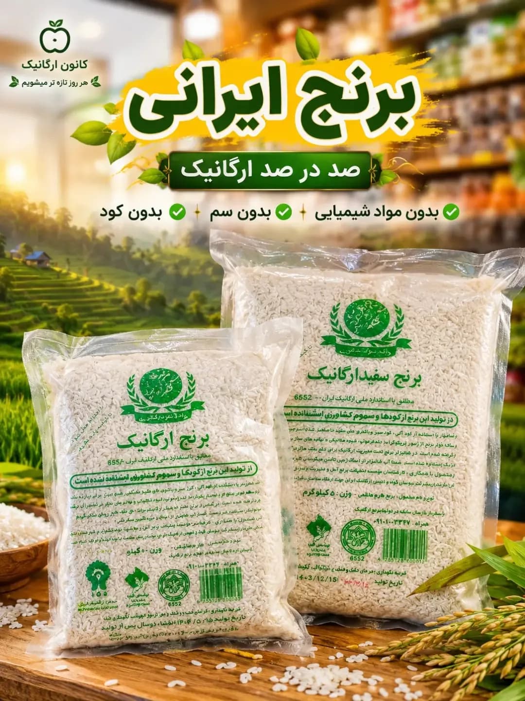 برنج سفید ارگانیک شکراللهپور