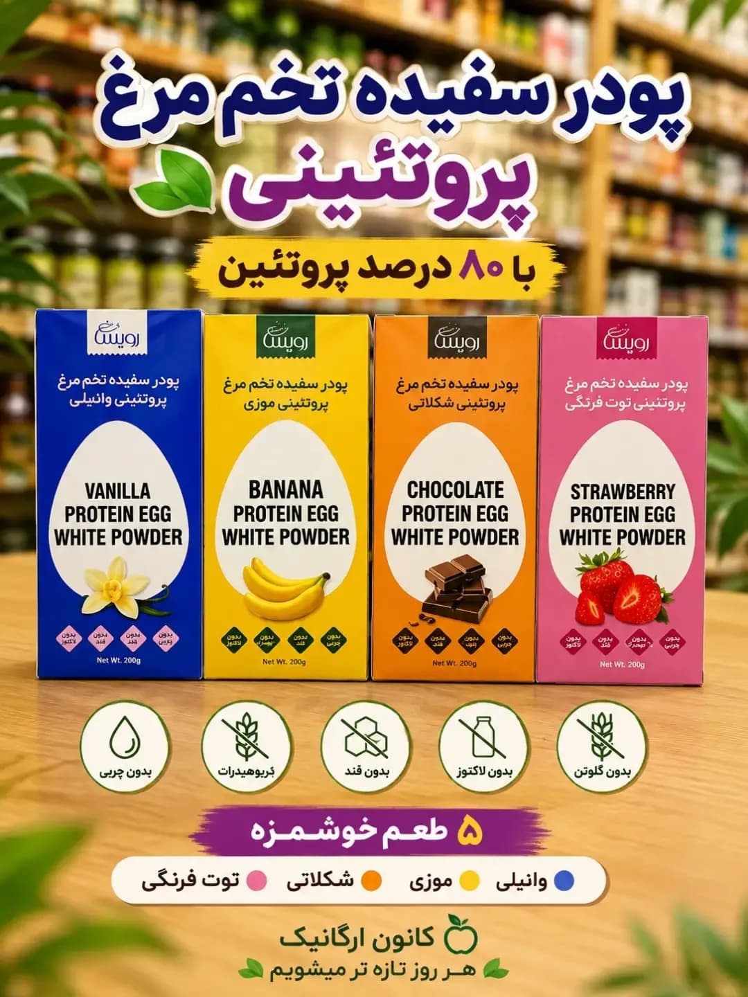 پودر سفیده تخممرغ پروتئینی طعم وانیل رویسا