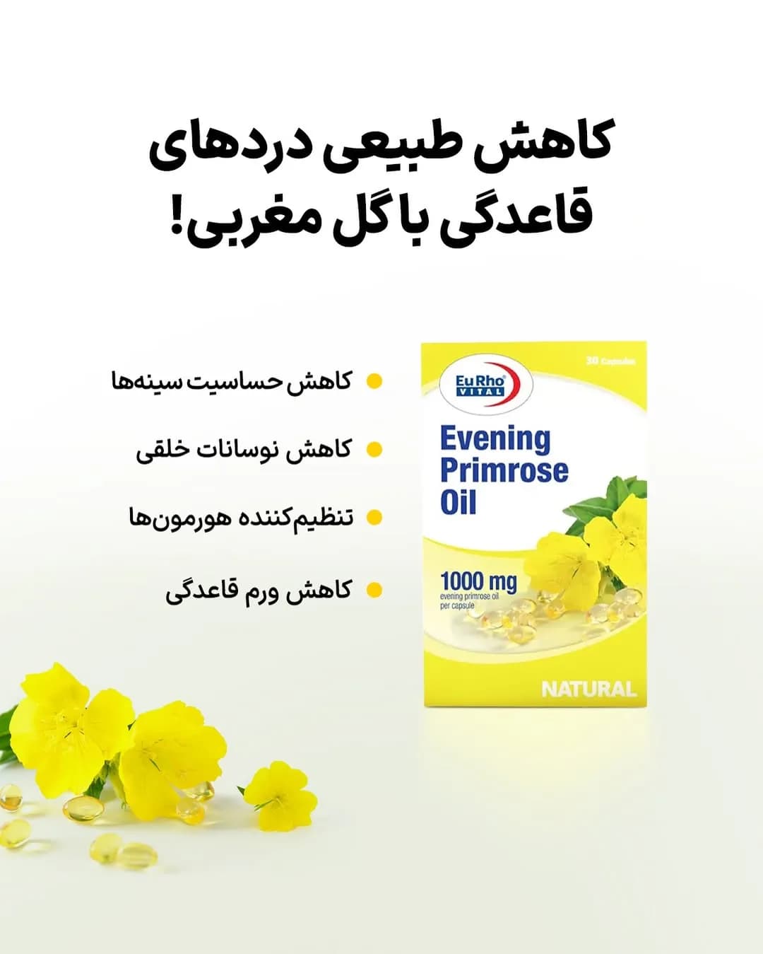 کپسول روغن گل مغربی، رنگ زرد و سفید، جنس مقوا، جعبه کپسول