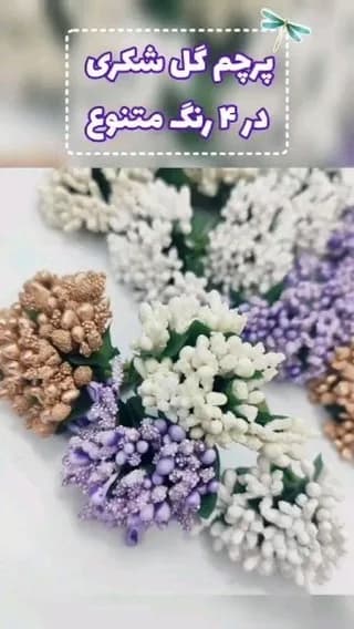 پرچم گل شکری