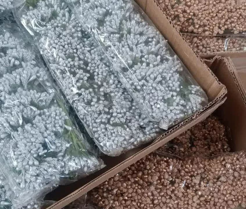 پرچم گل شکری خارجی — نمای دردست — ۸ رنگ