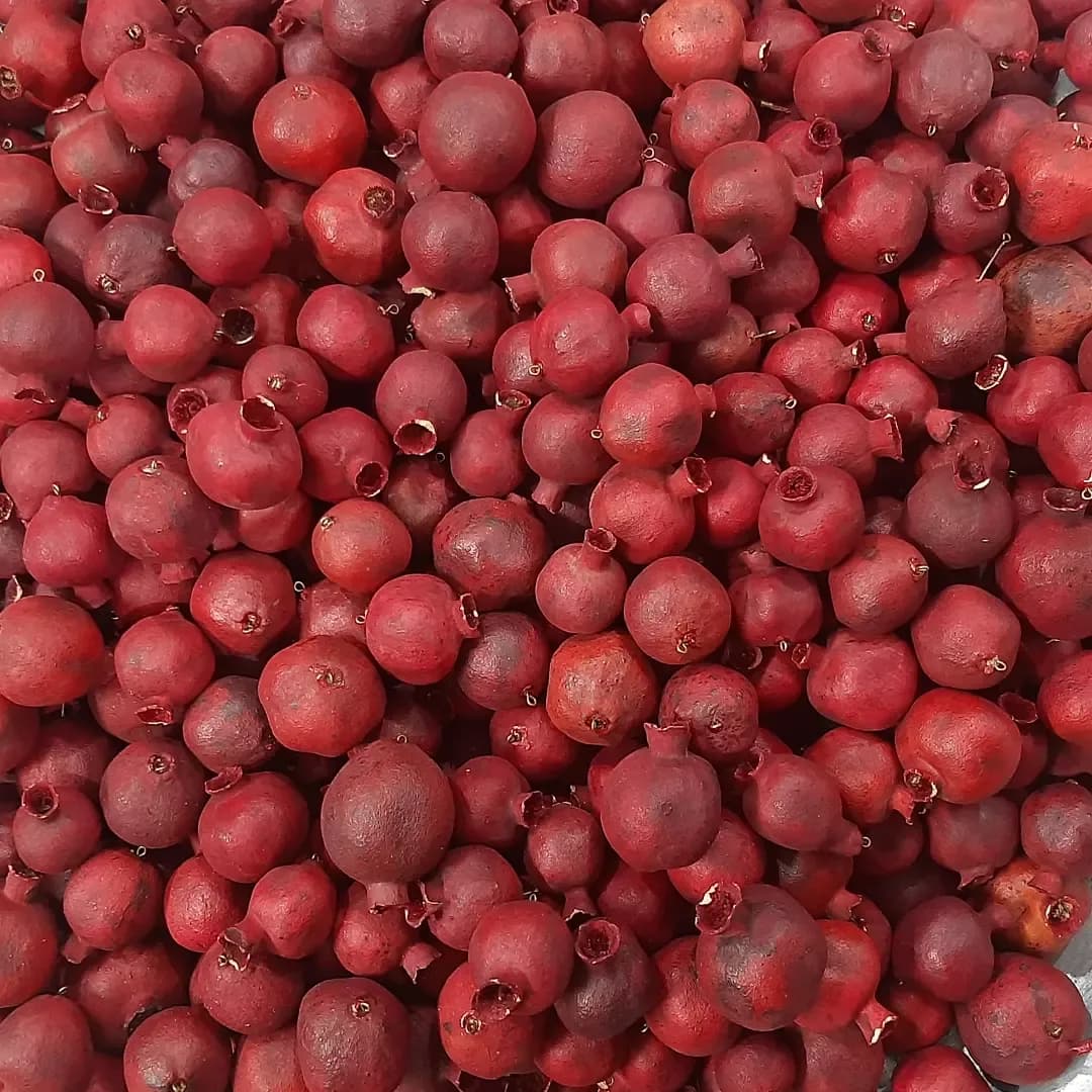 انار خشک تزئینی