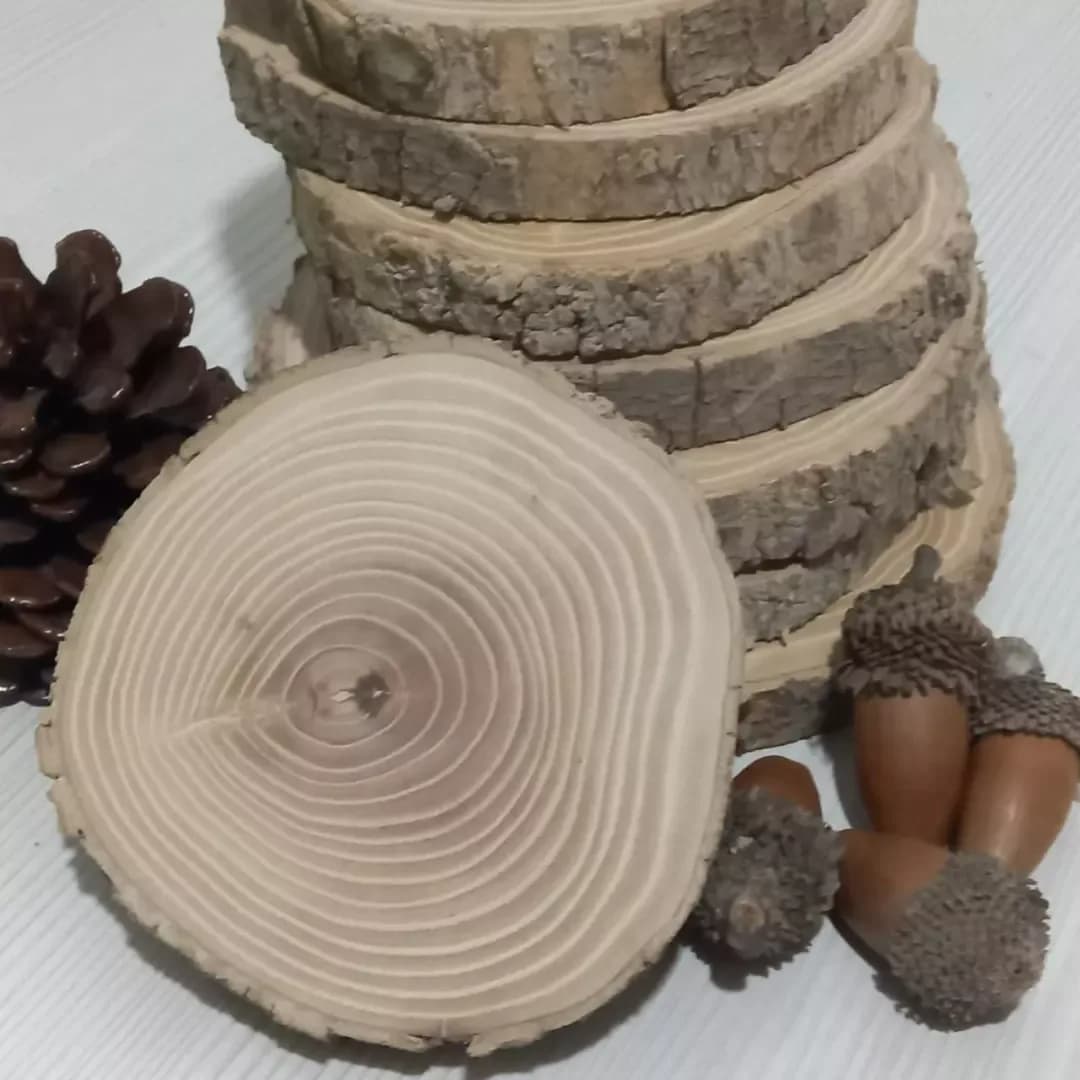 اسلایس چوب درخت ون