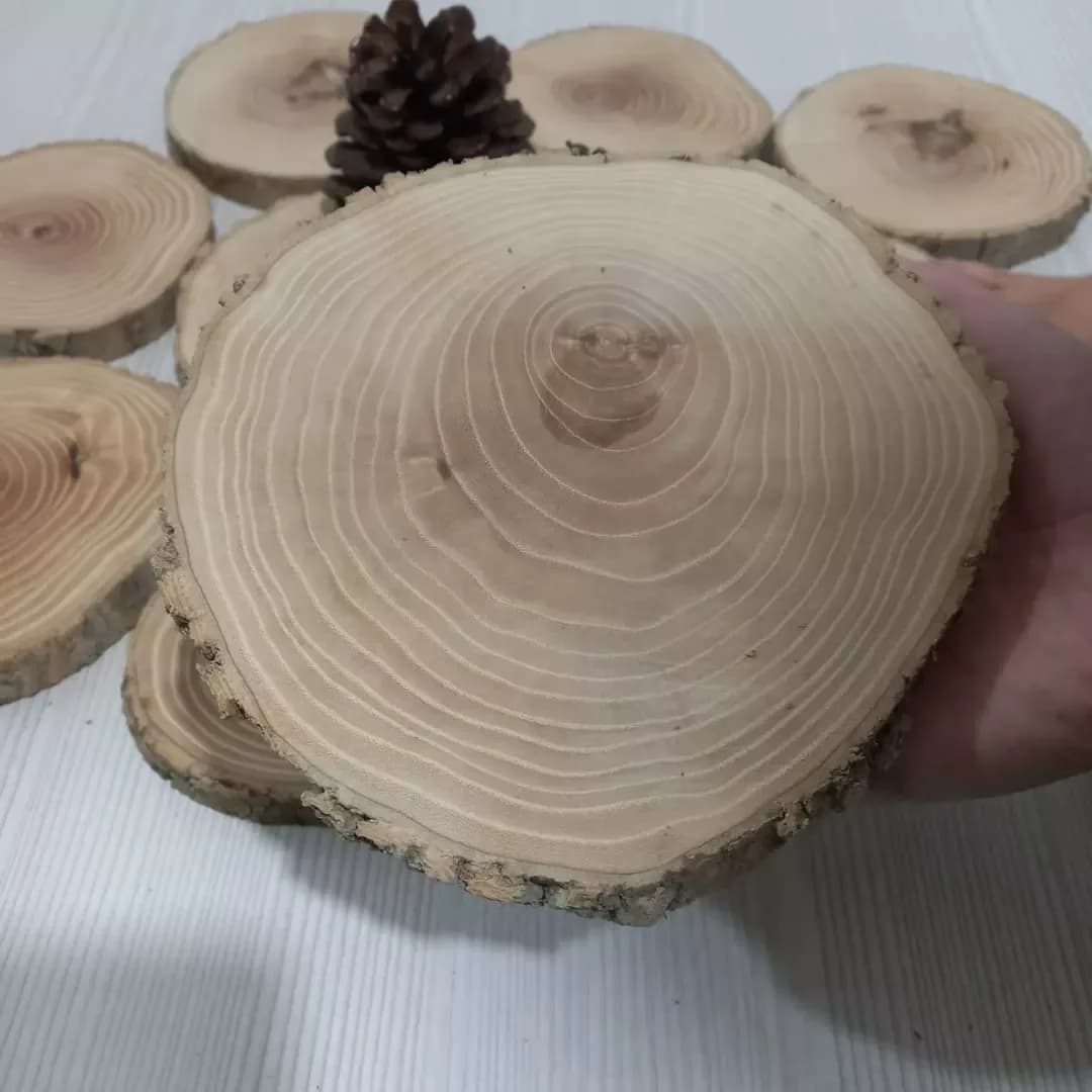 اسلایس چوب درخت ون — رنگ کرم — نمای دردست — سنبادهخورده