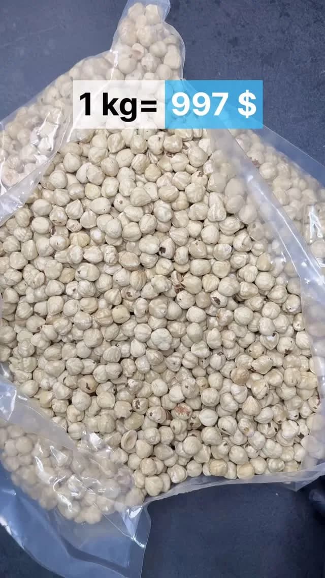 مغز فندق سفید