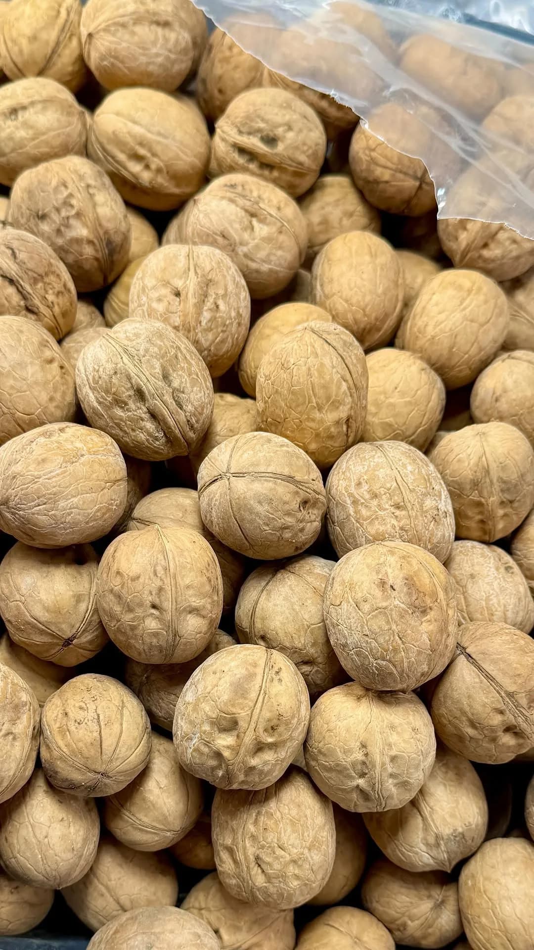 گردو پوست کاغذی درشت