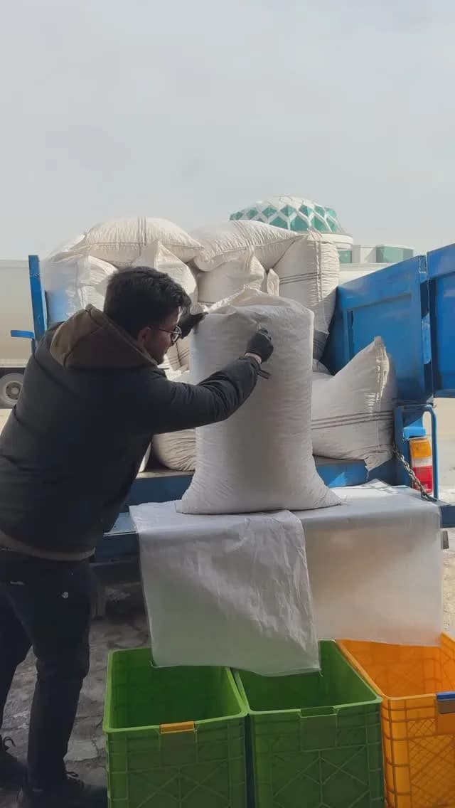 پسته بادامی