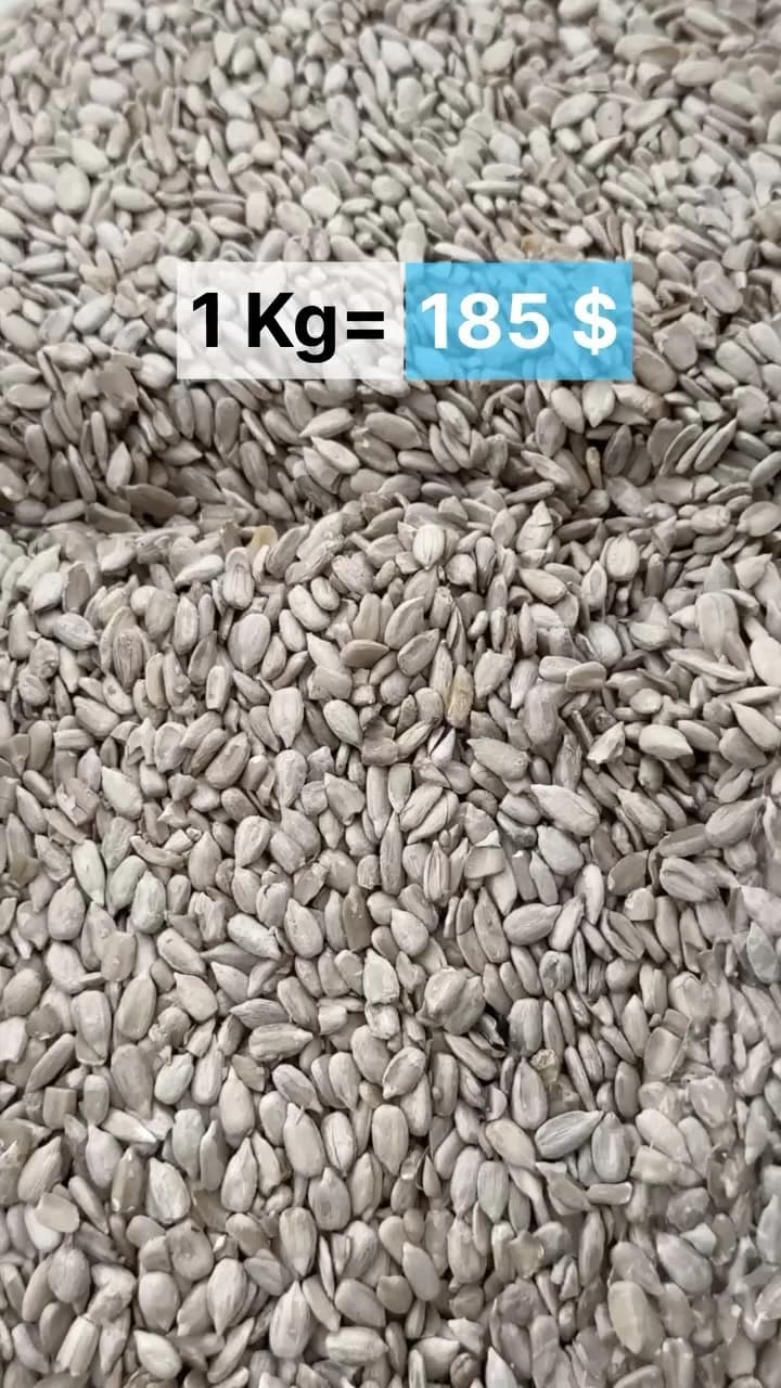 مغز تخمه آفتابگردان، رنگ خاکستری، دانه