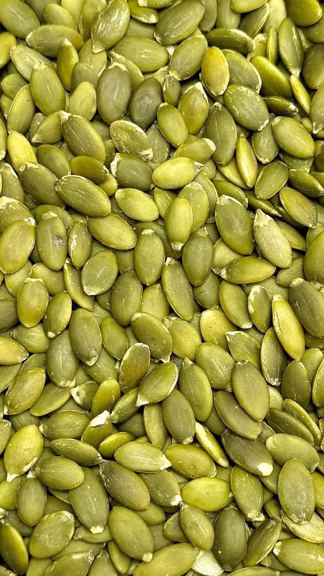 مغز تخمه کدو درشت