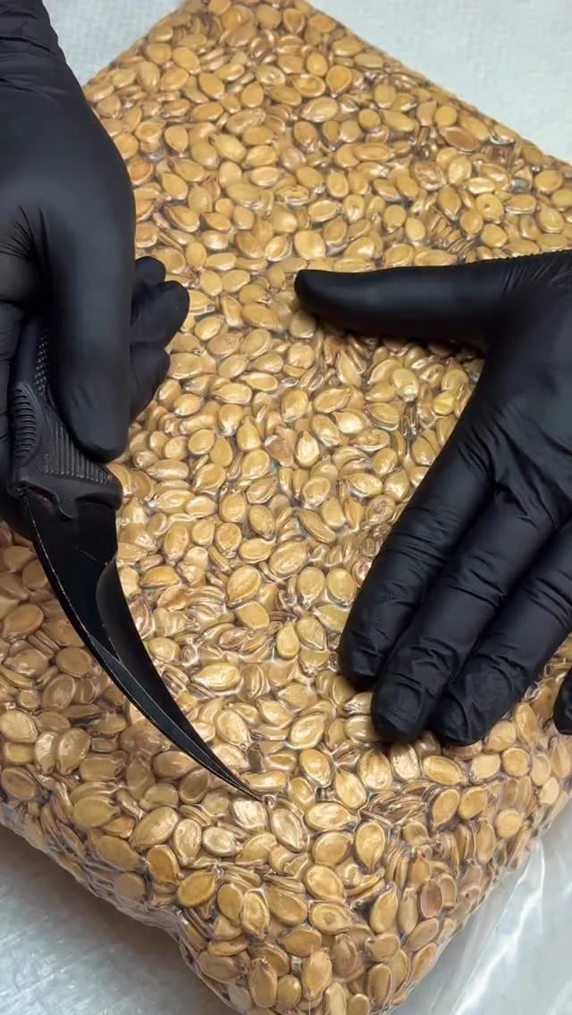 تخمه کلاله پوست نازک، رنگ کرم و زرد، دانه