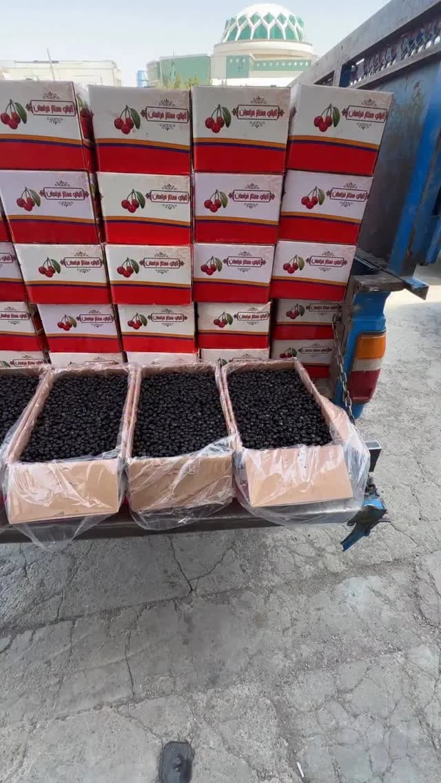 آلبالو خشک دستچین