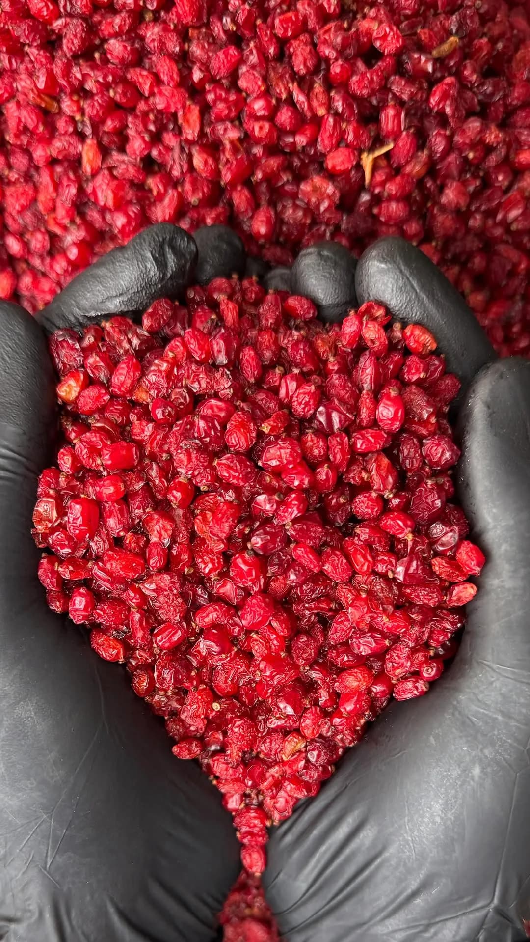 زرشک پفکی سوپر لوکس