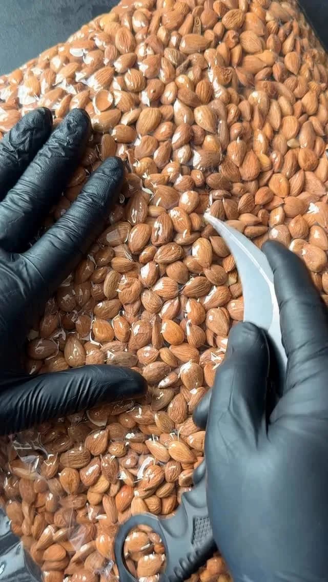 هسته زردآلو