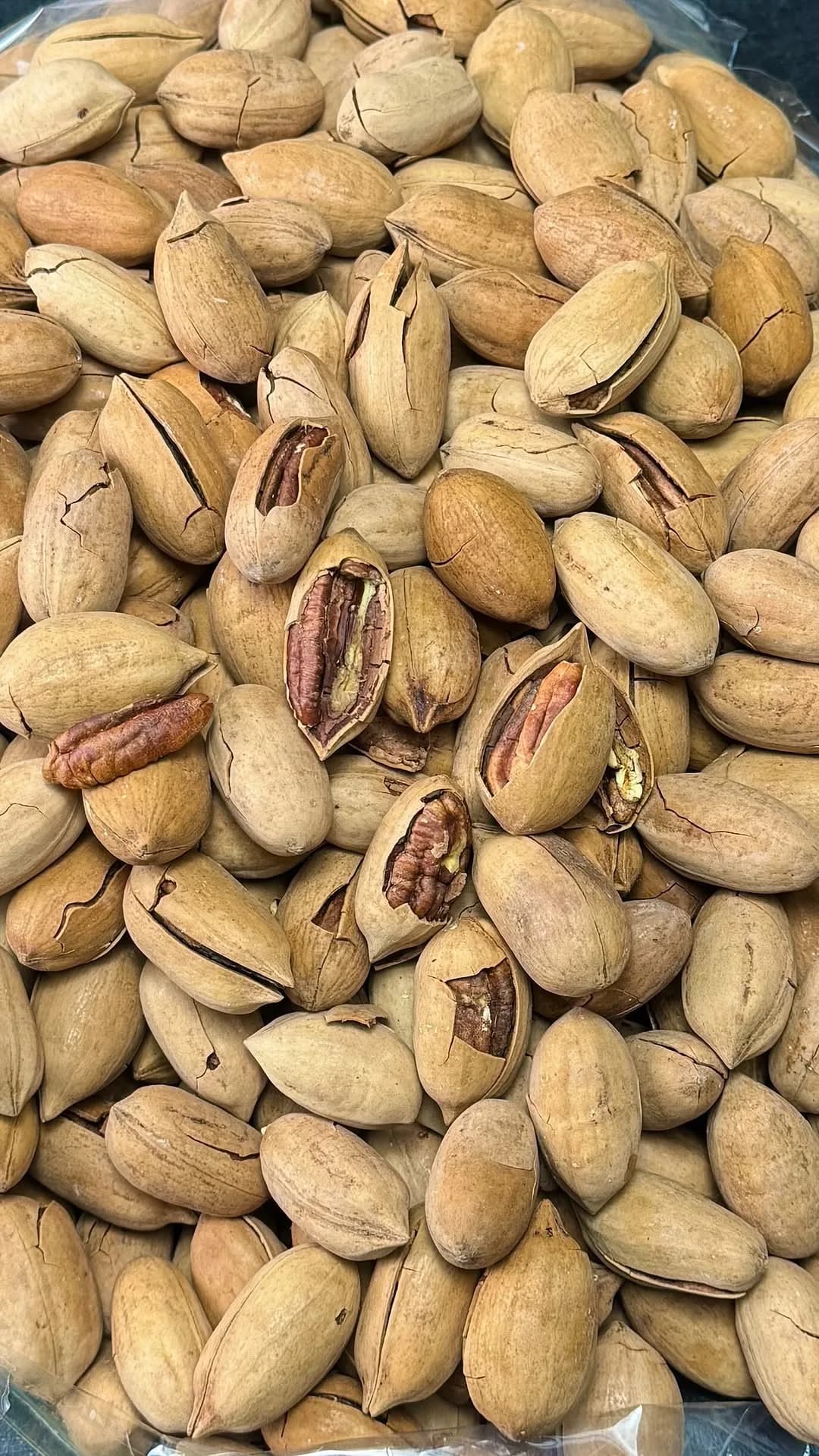 گردو پکان