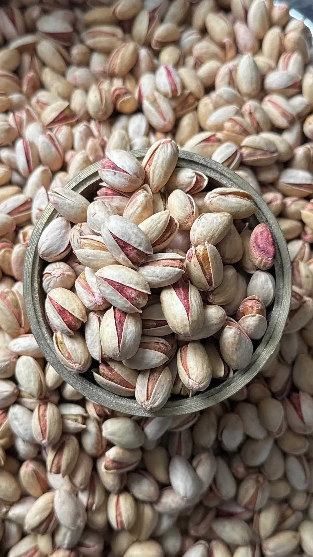 پسته بادامی پر مغز