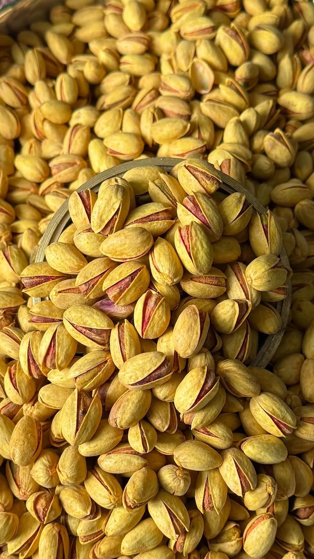 پسته بادامی لعابی انس ۳۰