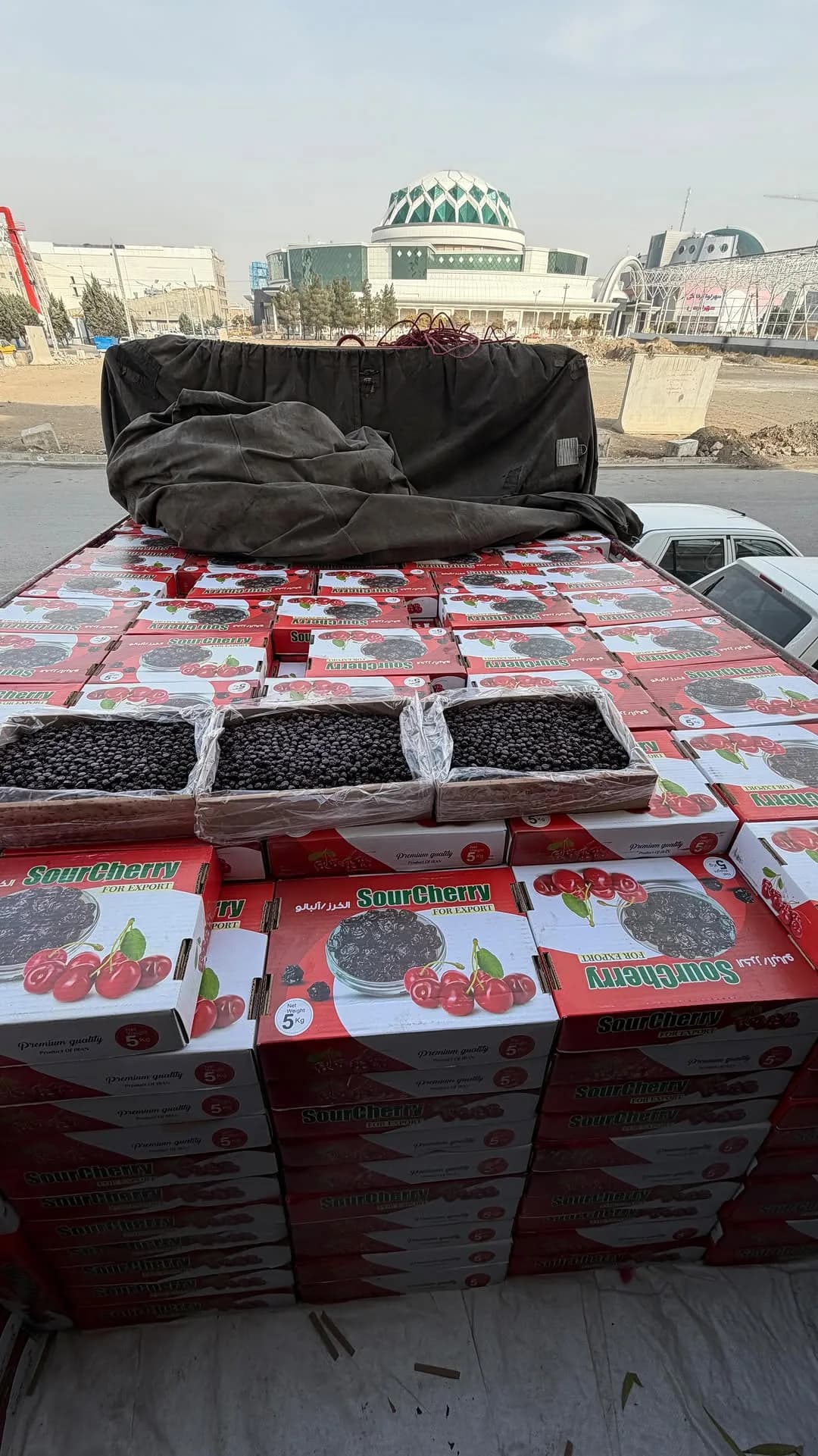 آلبالو خشک ترش، رنگ قرمز و مشکی، بستهبندی کارتن