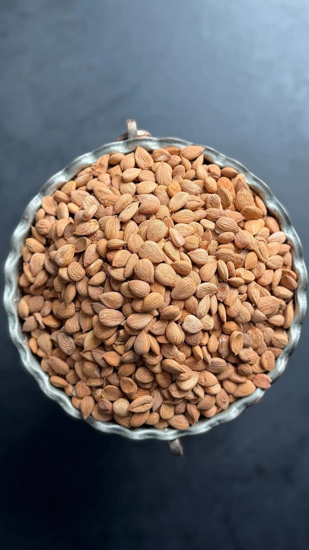 مغز هسته زردآلو شیرین