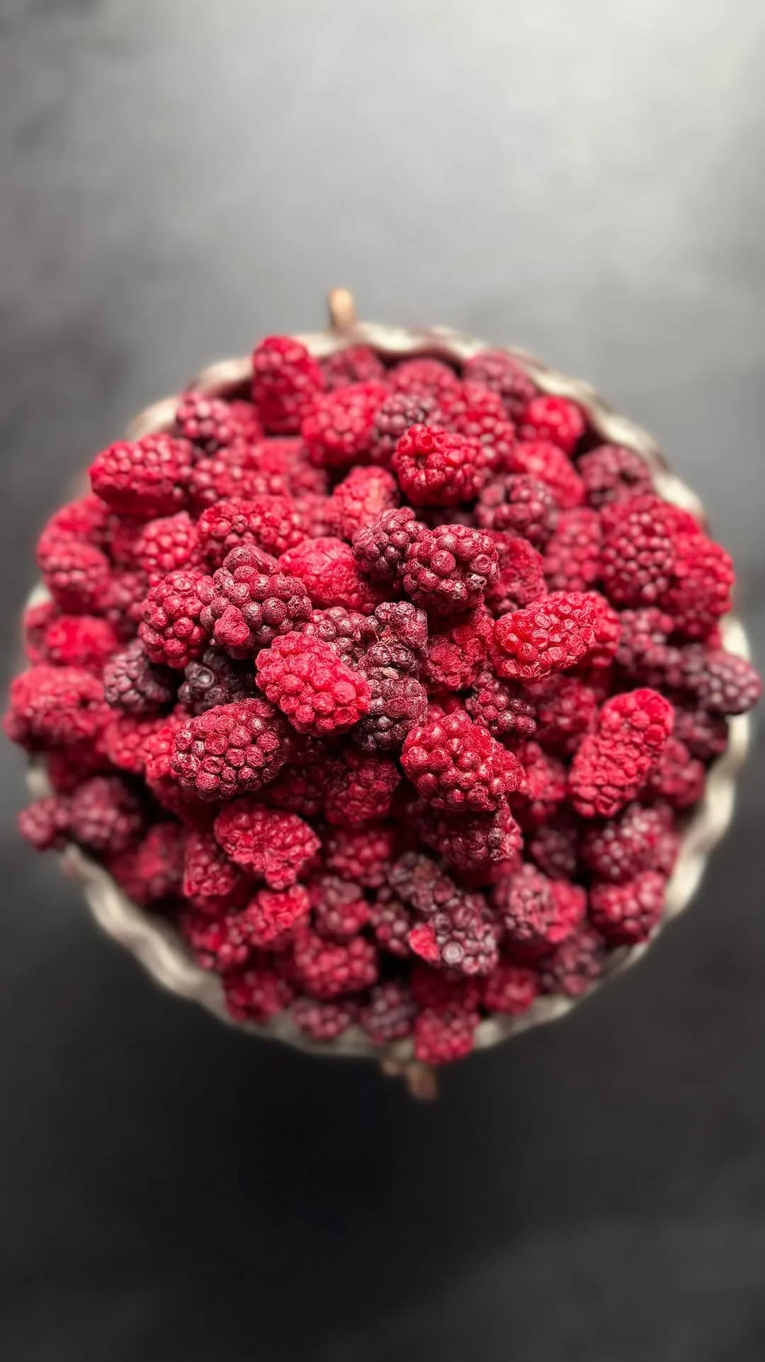 بلک‌بری فریزدرای ۱۰۰ گرمی
