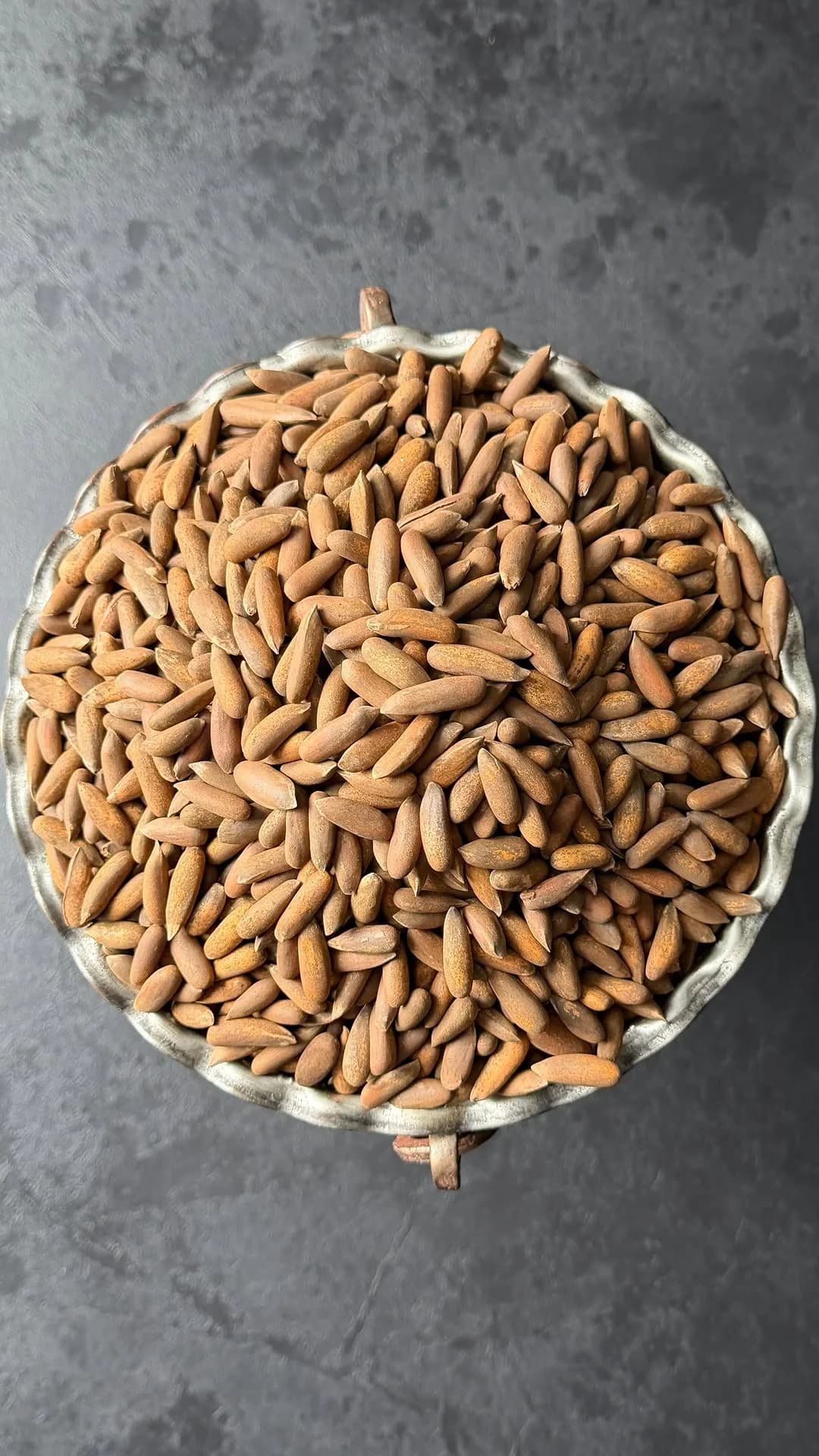 چلغوزه درشت امسالی