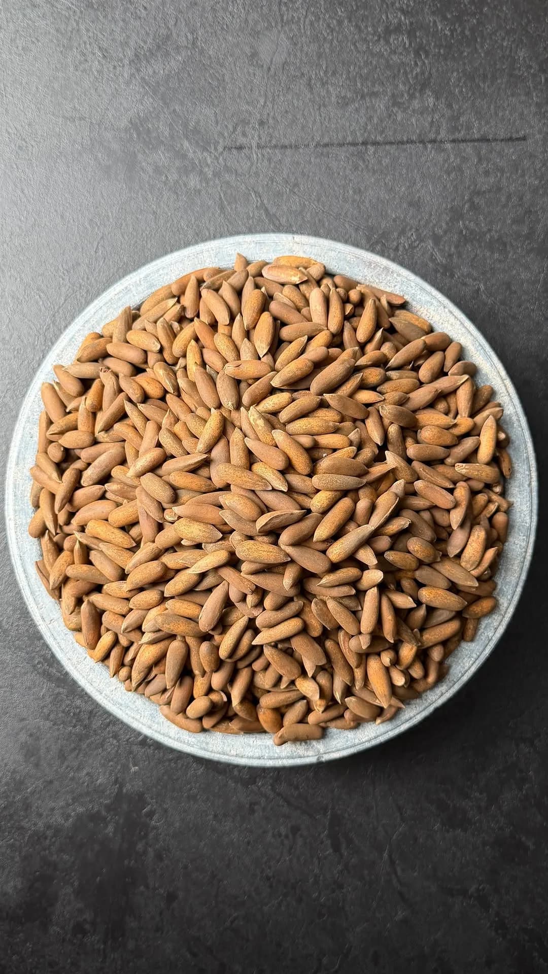 چلغوزه درجه یک
