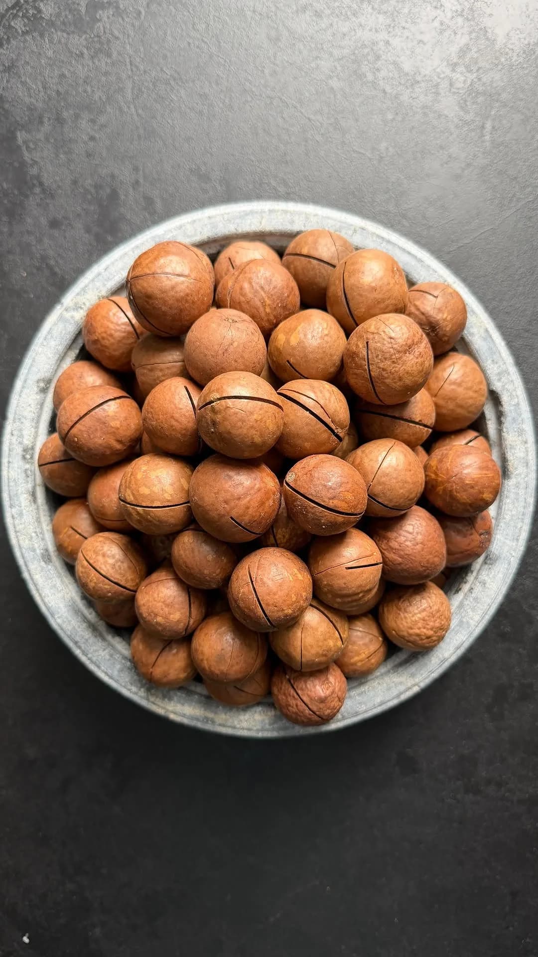 ماکادمیا درشت 2XL