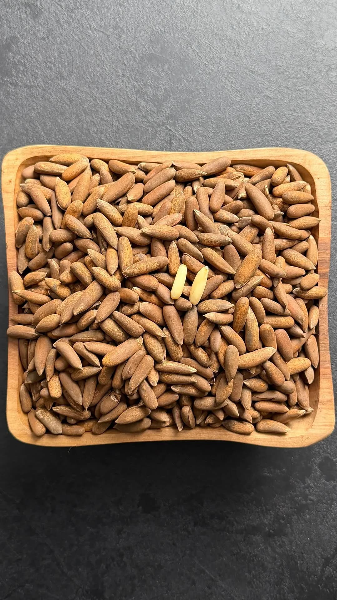 چلغوزه خام درشت