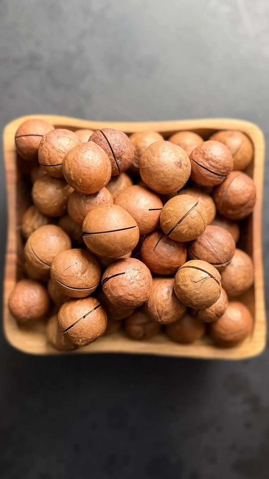 ماکادمیا سایز ۲XL