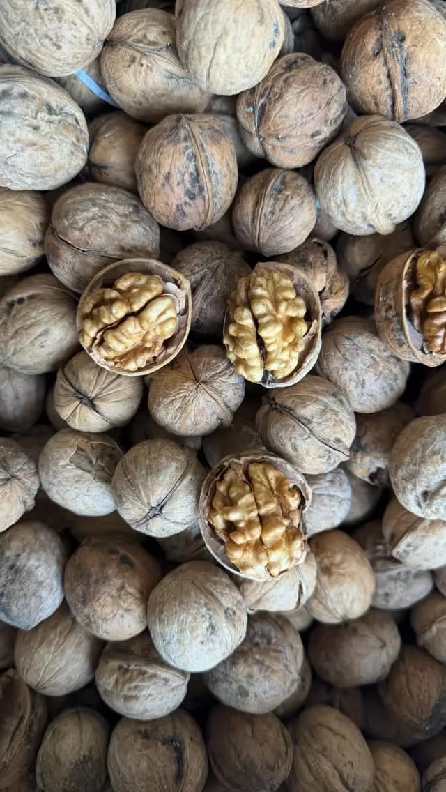 گردو پوست کاغذی، رنگ قهوه‌ای و کرم، مغز با پوست