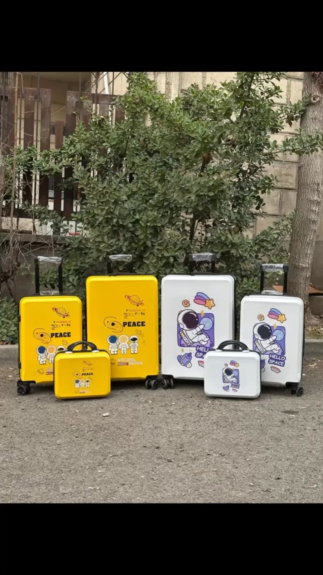 چمدان و کوله طرح سفینه