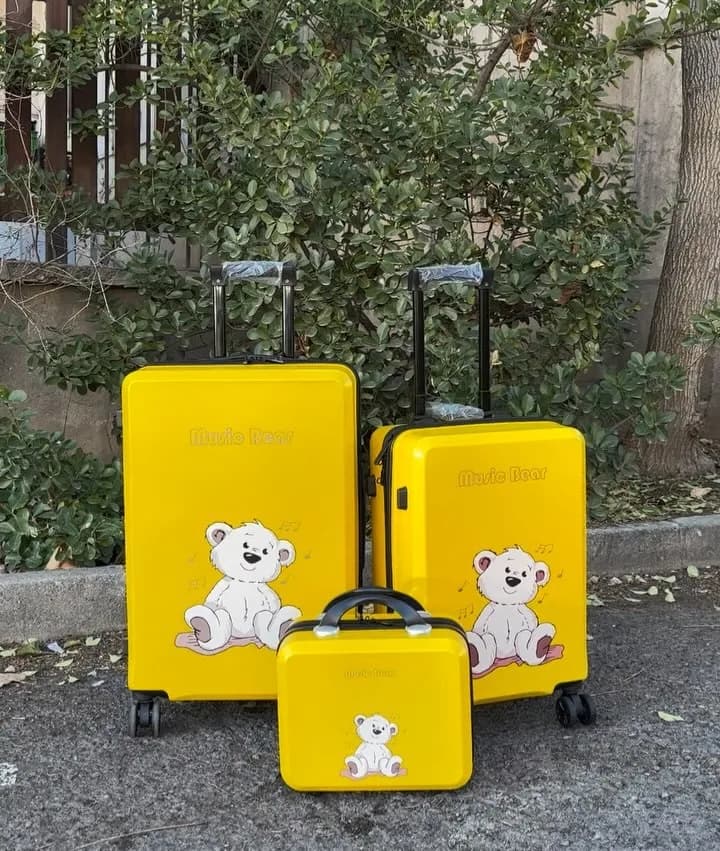 چمدان ۲۴ و ۲۰ اینچ