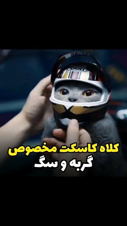 کلاه کاسکت سگ و گربه، رنگ سفید، مشکی و طلایی، کوچک، مخصوص حیوانات