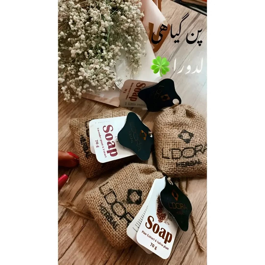 پن گیاهی لدورا