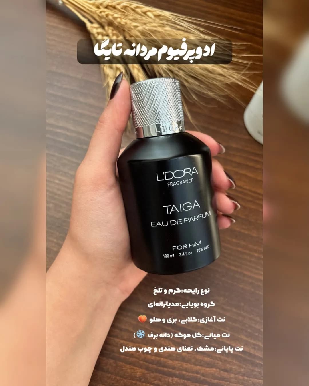 ادوپرفیوم مردانه «TAIGA» ۱۰۰ میل لدورا، رنگ مشکی و نقرهای، جنس شیشه و فلز، بطری اسپری