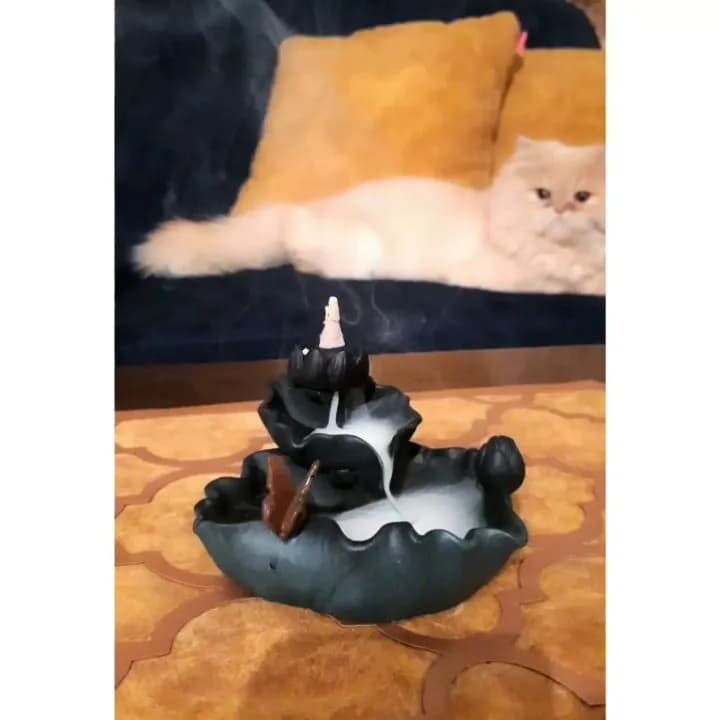 جاعودی