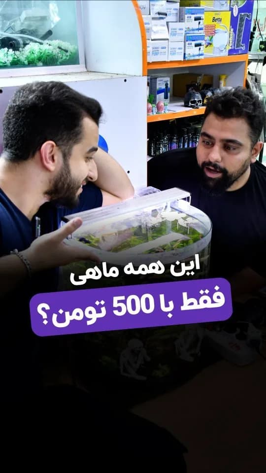 پک ماهی ۵۰۰ هزار تومانی