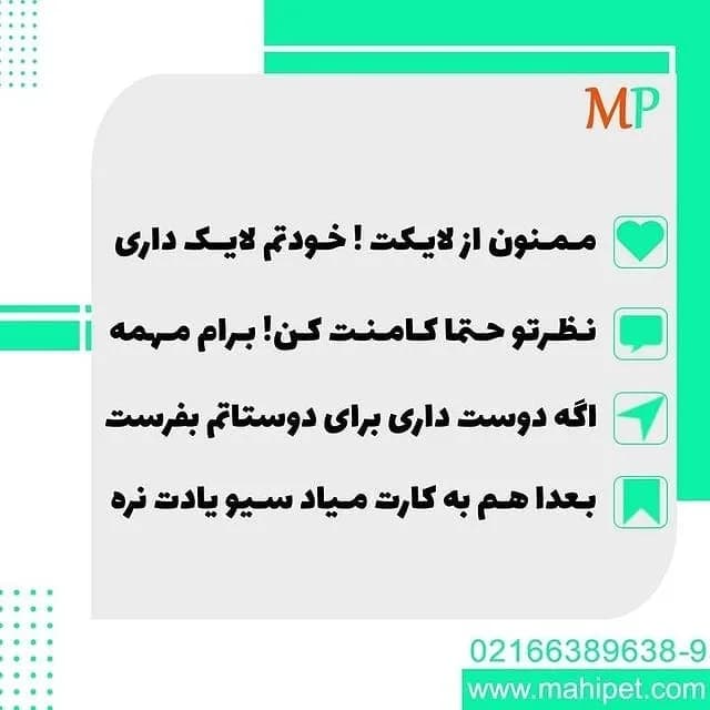 غذای ماهی کد B1 — اطلاعات