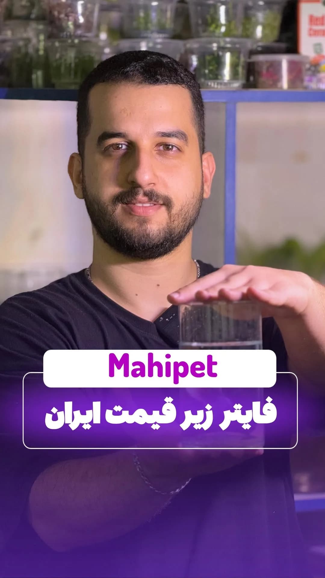 ماهی فایتر، رنگ قرمز، ماهی زینتی