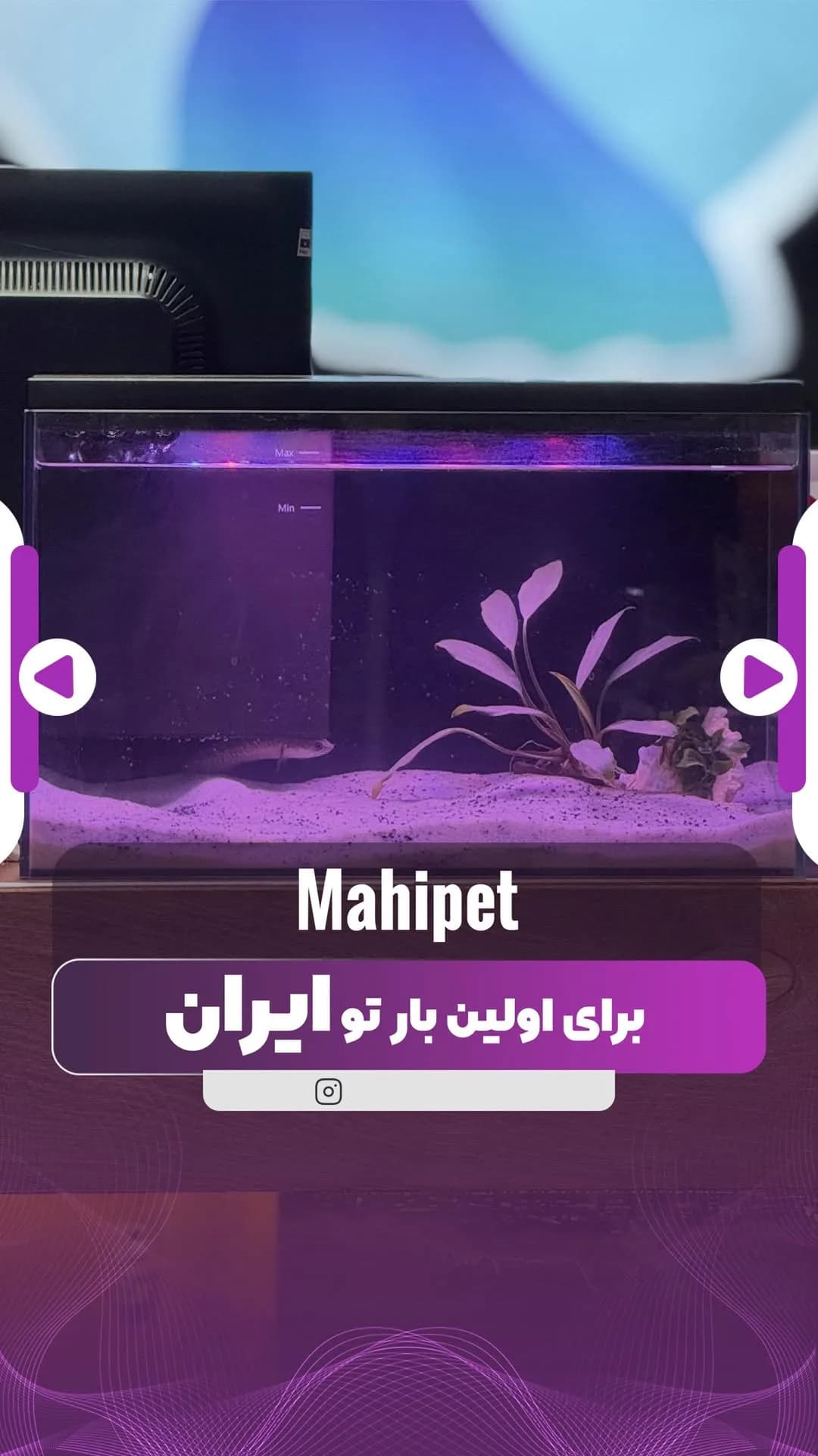 آکواریوم بویو، رنگ شفاف، مشکی و سفید، جنس شیشه و پلاستیک، مستطیلی رومیزی
