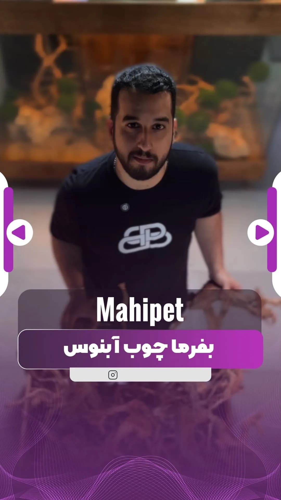 چوب آبنوس آکواریوم، رنگ قهوهای، شاخه و تکه چوب